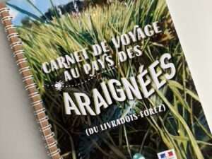 Carnet de voyage au Pays des Araignées